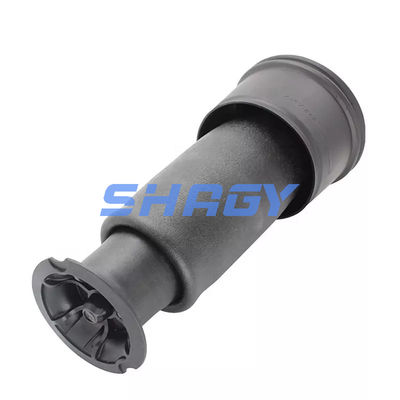 Dla Mercedes Citroen C4 tylna 96819460805102 GN5102R8 Wiosna powietrzna