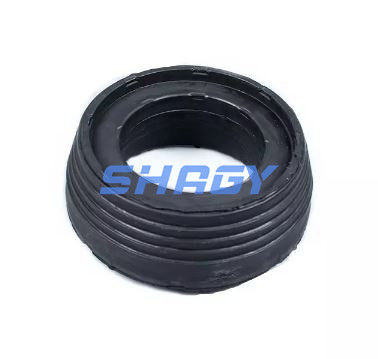 Do akcesoriów do amortyzatorów Mercedes W222 A2223200404